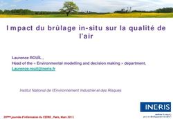 Impact du brûlage in-situ sur la qualité de l'air - Cedre