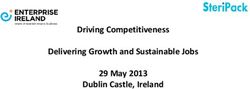 Driving Competitiveness Delivering Growth and Sustainable Jobs 29 May 2013 Dublin Castle, Ireland