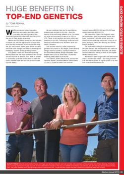 HUGE BENEFITS IN TOP-END GENETICS - By TOM PENNA, Merino SA