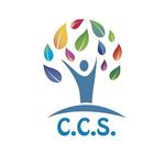 Transition Year 2018-19 in - Celbridge Community School