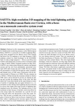 SAETTA: high-resolution 3-D mapping of the total lightning activity in the Mediterranean Basin over Corsica, with a focus on a mesoscale ...