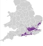 The State of Britain's Stag Beetles 2018 - People's Trust for ...