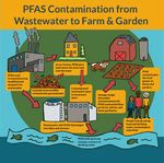 SLUDGE IN THE GARDEN Toxic PFAS in Home Fertilizers Made From Sewage Sludge - May 25, 2021