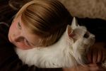 The Link: Interpersonal Violence and Abuse and Animal Safekeeping