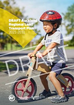 DRAFT Auckland Regional Land Transport Plan 2021-2031