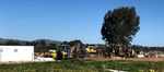PROPOSAL FOR IMPROVEMENTS TO THE POLICY AND MANAGEMENT OF SQUIRREL GLIDER HABITATS IN ALBURY