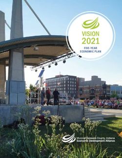 FIVE-YEAR ECONOMIC PLAN - Muncie-Delaware ...