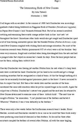 The Intoxicating Birds of New Guinea