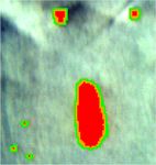 Evaluation of the graphics processing unit architecture for the implementation of target detection algorithms for hyperspectral imagery - SPIE ...