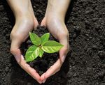 Responsible Investment & Stewardship Report - 2020-2021 btps.co.uk