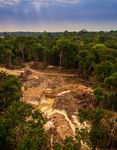 Responsible Investment & Stewardship Report - 2020-2021 btps.co.uk