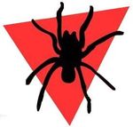 Avondale Primary School School Pandemic Plan - Parent guide To be used in conjunction with emergency Management plan - Avondale Primary ...