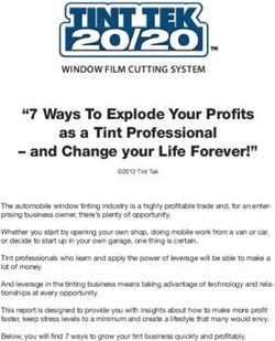 "7 Ways To Explode Your Profits as a Tint Professional - and Change your Life Forever!" - Tint Tek
