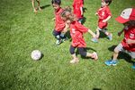 Summer Day Camps Program Guide 2020 - Tuscany Residents ...