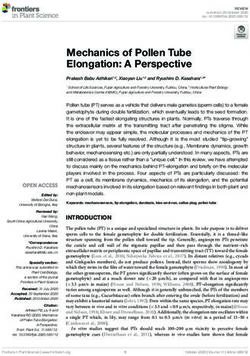 Mechanics of Pollen Tube Elongation: A Perspective - Frontiers