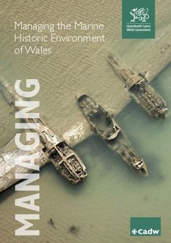 Managing the Marine Historic Environment of Wales - Cadw