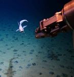 Strategy framework 2021-2025 - JPI Oceans