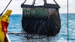 Strategy framework 2021-2025 - JPI Oceans
