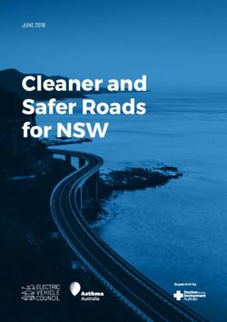 Cleaner and Safer Roads for NSW - JUNE 2019 - Supported by - Electric Vehicle Council