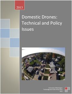 Domestic Drones: Technical and Policy Issues 2013