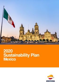 2020 Sustainability Plan - Mexico - Repsol
