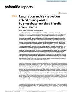 Restoration and risk reduction of lead mining waste by phosphate enriched biosolid amendments - Nature