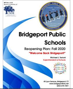 Bridgeport Public Schools - Reopening Plan: Fall 2020 "Welcome Back Bridgeport!" Michael J. Testani Superintendent of Schools