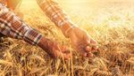 Bringing people together for a better world - Sustainability Report 2018 - South African Breweries