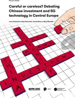 Careful or careless? Debating Chinese investment and 5G technology in Central Europe - POLICY PAPER