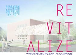 WATERFALL RISING CAPITAL CAMPAIGN - Waterfall Arts