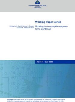Working Paper Series Modeling the consumption response to the CARES Act