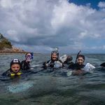 Integrated Coral Reef Citizen Science Program - Project Update April 2020 - Reef Ecologic