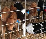 BUSINESS 2021 - Massey University