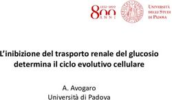 L'inibizione del trasporto renale del glucosio determina il ciclo evolutivo cellulare - A. Avogaro Universit&agrave; di Padova