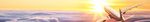 MELODIES OF BRANSON, NASHVILLE & MEMPHIS - OCTOBER 18 - 26, 2021 - HOLIDAY VACATIONS