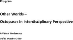 Other Worlds - Octopuses in Interdisciplinary Perspective - Program - Okto-Lab.