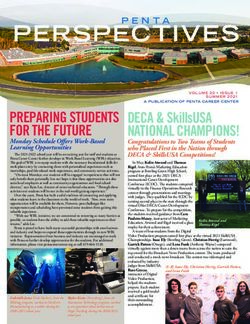 PERSPECTIVES - Penta Career Center