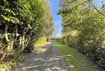 Long Dyke The Drive, Chichester, West Sussex PO19 5QA - Net House Prices