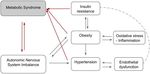 Polycystic Ovarian Syndrome - PCOS Presented by: Shannon Lynch, MSU Dietetic Intern 2017-18