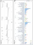 Comparative Transcriptomics of Root Development in Wild and Cultivated Carrots - MDPI