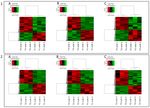 Comparative Transcriptomics of Root Development in Wild and Cultivated Carrots - MDPI