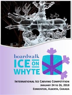 International Ice Carving Competition January 24 to 26, 2018 Edmonton, Alberta, Canada - Ice On Whyte