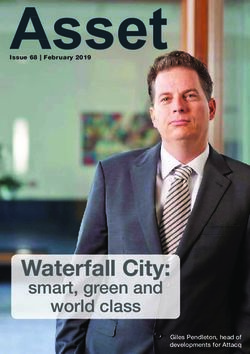 Asset - Waterfall City: smart, green and world class - TUHF