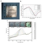 Intelligent Packaging for Real-Time Monitoring of Food-Quality: Current and Future Developments - MDPI