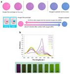 Intelligent Packaging for Real-Time Monitoring of Food-Quality: Current and Future Developments - MDPI