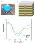Intelligent Packaging for Real-Time Monitoring of Food-Quality: Current and Future Developments - MDPI