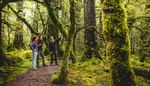 Young Peoples' Perceptions of Careers in the Tourism Industry - Qualitative Research Findings - 29 March 2018