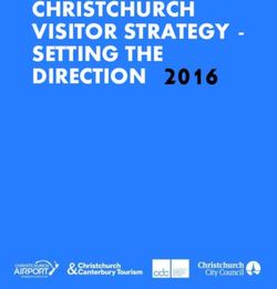 2016 CHRISTCHURCH VISITOR STRATEGY - SETTING THE DIRECTION - ChristchurchNZ