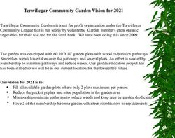 Terwillegar Community Garden Vision for 2021 - Terwillegar Community League