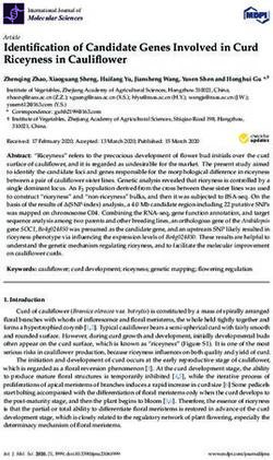 Identification of Candidate Genes Involved in Curd Riceyness in Cauliflower - MDPI